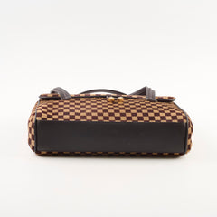 Louis Vuitton Damier Sauvage Calfhair Bag
