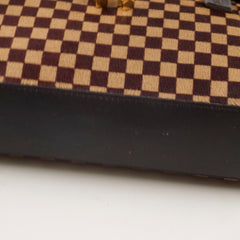 Louis Vuitton Damier Sauvage Calfhair Bag