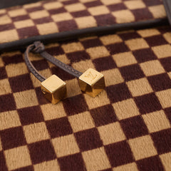 Louis Vuitton Damier Sauvage Calfhair Bag