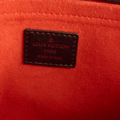 Louis Vuitton Damier Sauvage Calfhair Bag