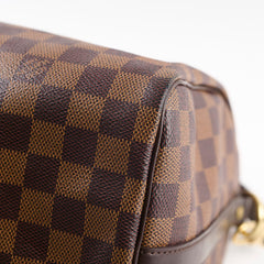 Louis Vuitton Speedy 30 Damier Ebene