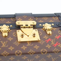 Louis Vuitton Petite Malle Monogram