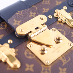 Louis Vuitton Petite Malle Monogram