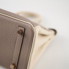 Hermes Birkin 25 Gris Asphalt/ Craie Togo RGHW HSS Special Order Z Stamp