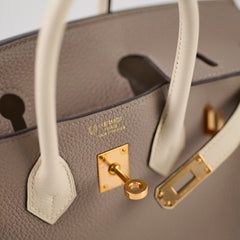 Hermes Birkin 25 Gris Asphalt/ Craie Togo RGHW HSS Special Order Z Stamp