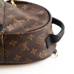 Louis Vuitton Palm Springs Mini Monogram