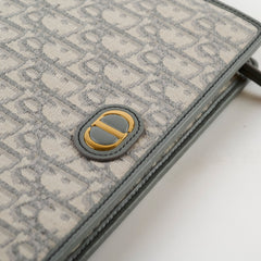 Christian Dior 30 Montaigne Dea Pouch Grey