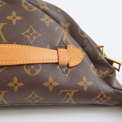 Louis Vuitton Bumbag Monogram