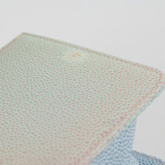Chanel Small Boy Rainbow Caviar