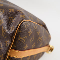 Louis Vuitton Speedy 30 Monogram