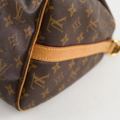 Louis Vuitton Speedy 30 Monogram