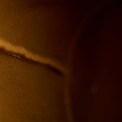 Celine Triomphe Canvas Bucket Bag White