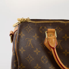Louis Vuitton Speedy 30 Monogram