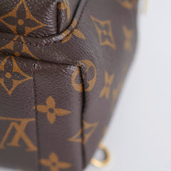 Louis Vuitton Palm Spring Mini Monogram (New Zipper Style)