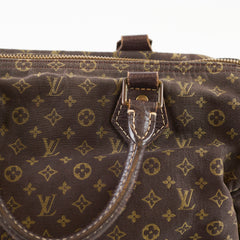 Louis Vuitton Louis Vuitton Speedy 30 Mini Lin