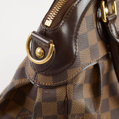 Louis Vuitton Trevi PM Damier Ebene