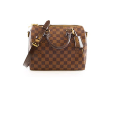Louis Vuitton Speedy 25 Dampier Ebene