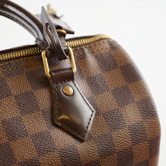 Louis Vuitton Speedy 25 Dampier Ebene