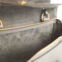 Celine Belt Bag Nano Grey