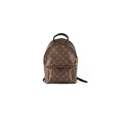 Louis Vuitton Monogram Palm Springs PM backpack
