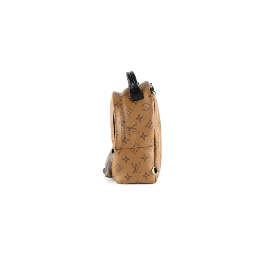 Louis Vuitton Palm Spring Mini Bag Monogram