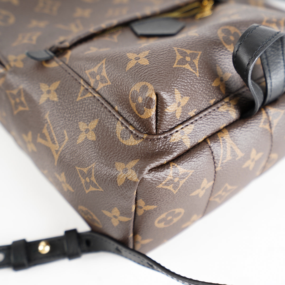 Louis Vuitton Monogram Palm Springs PM Backpack Leather ref.336785 - Joli  Closet