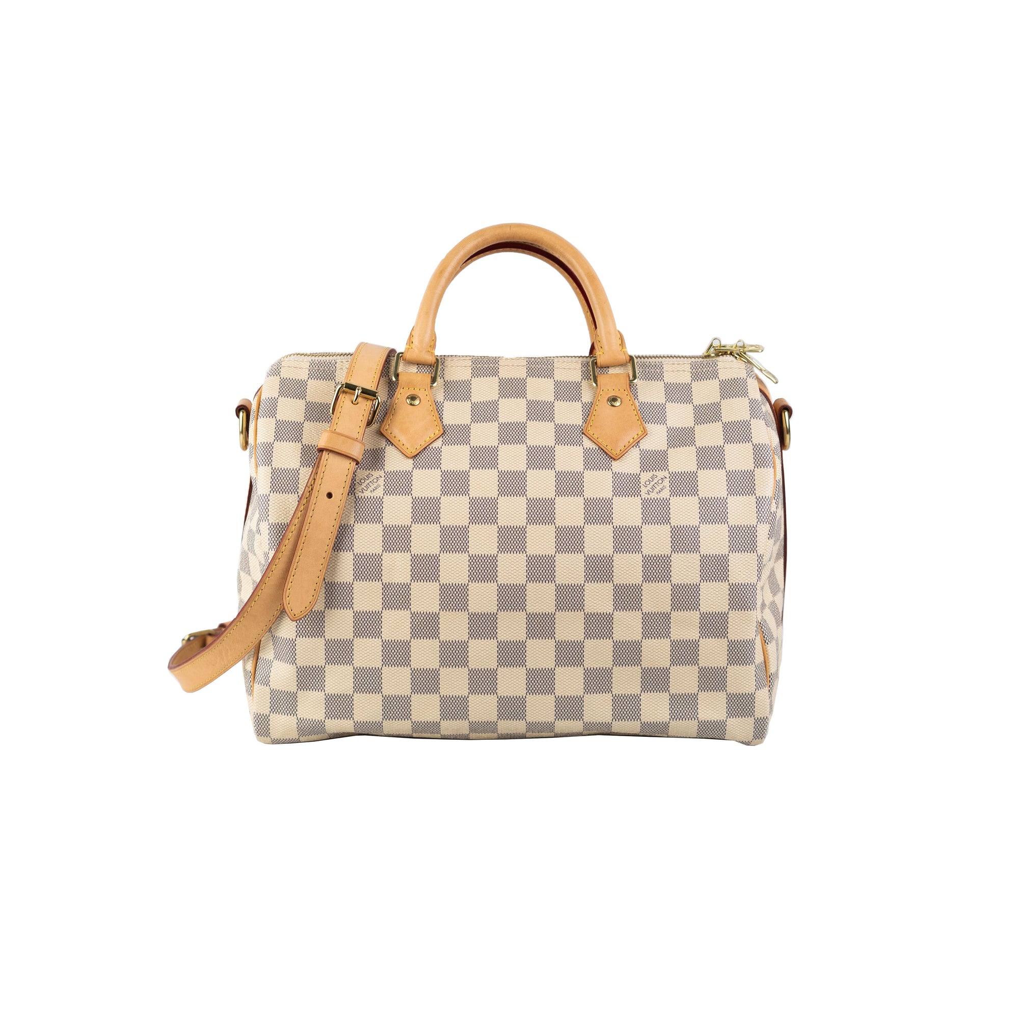 Louis Vuitton Speedy Handbag 30 checkered azure pattern Minnie