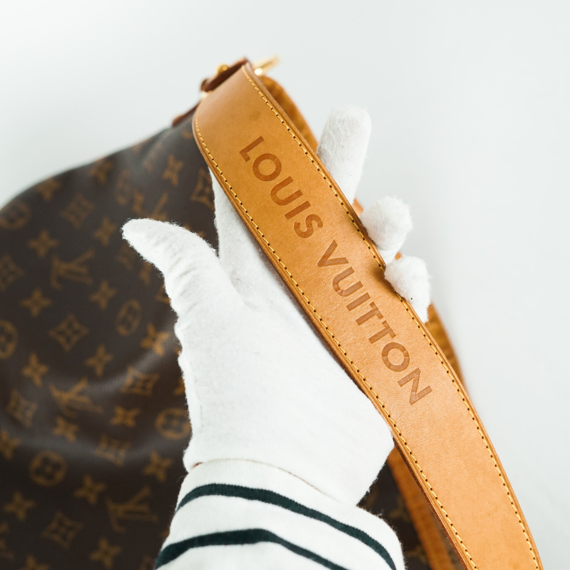 Louis Vuitton delightful PM – Lady Clara's Collection
