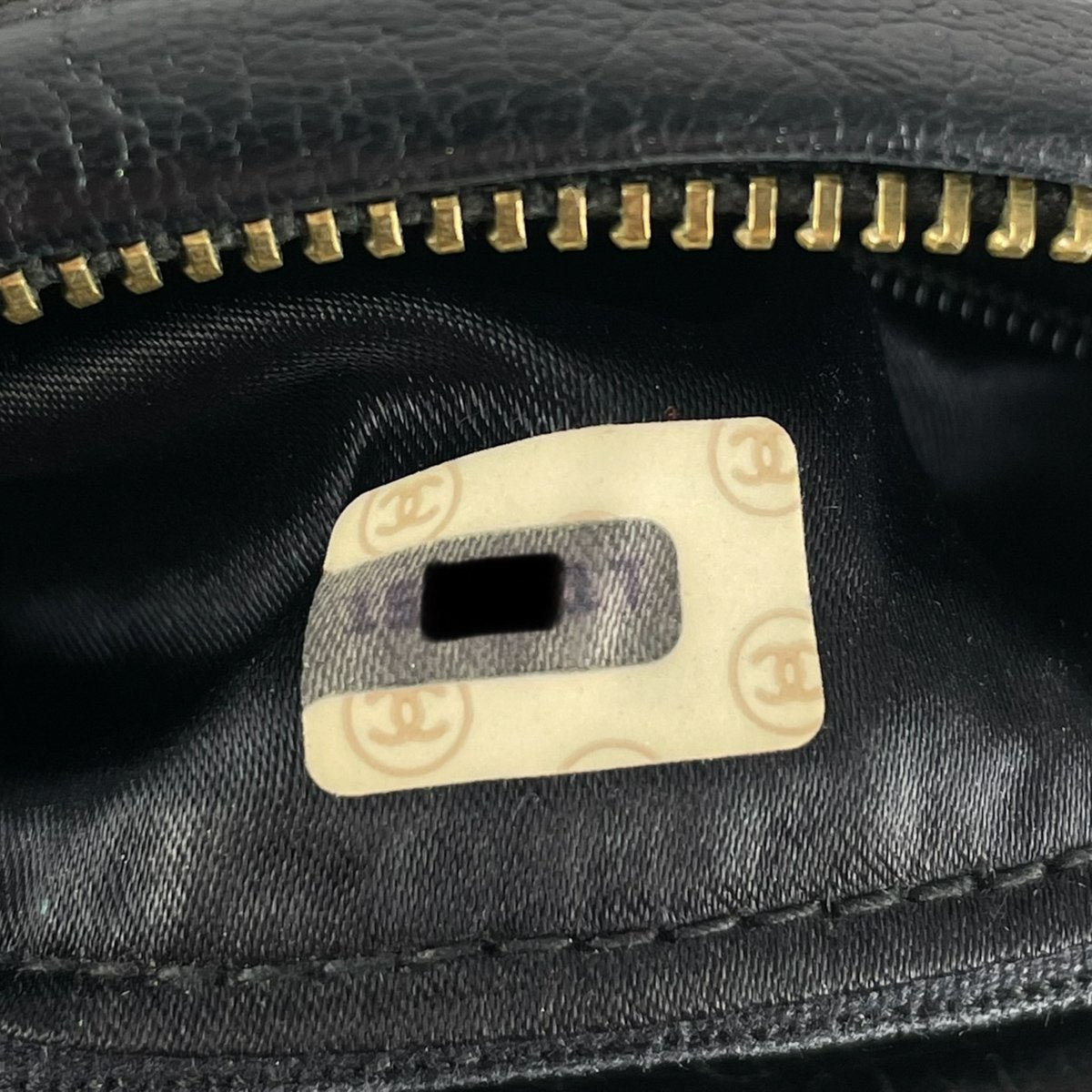 Chanel Camera Shoulder bag 389624