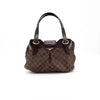 Louis Vuitton Shoulder Bag Damier Ebene