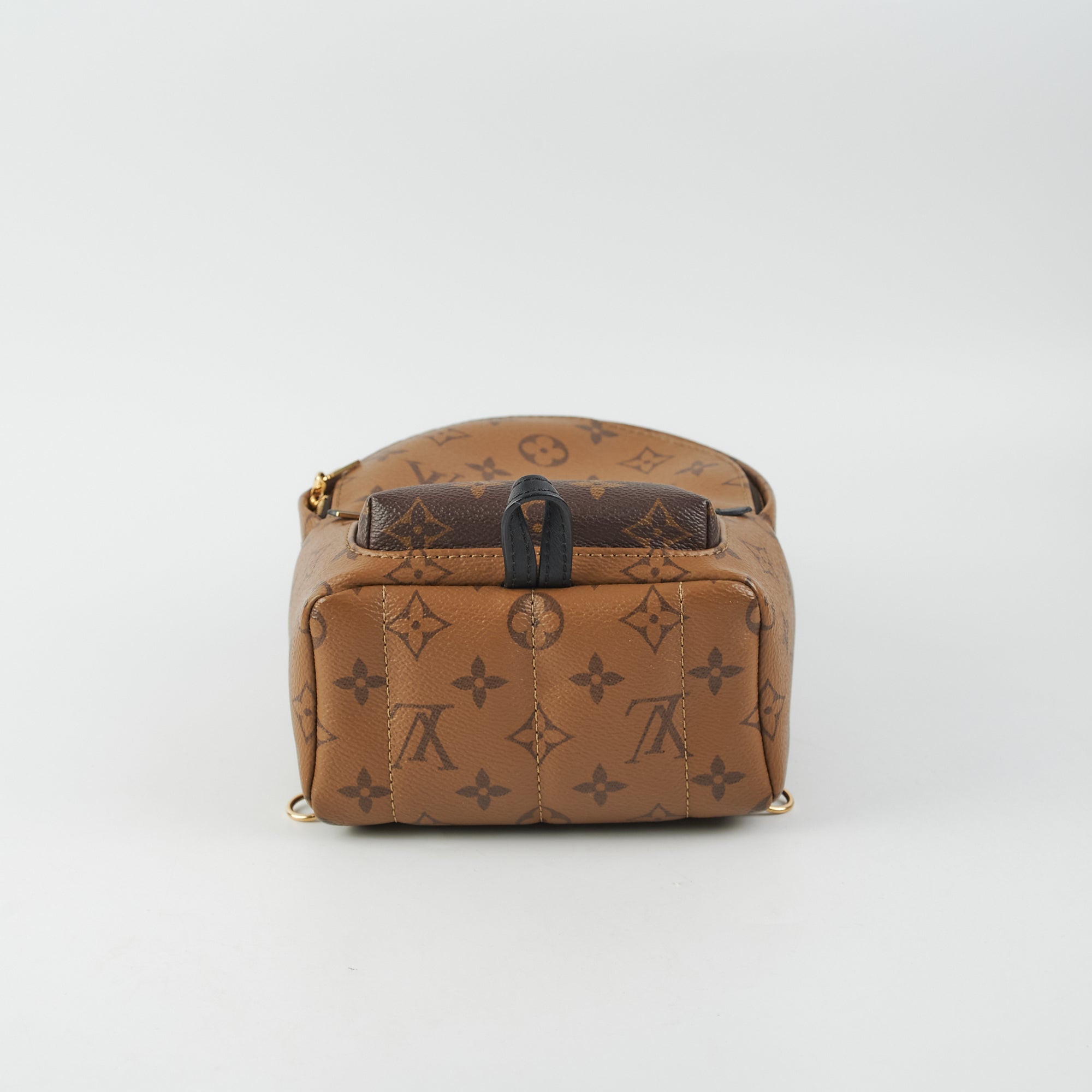 Monogram Reverse Palm Springs Mini Backpack (M44872) – Hidden Luxury