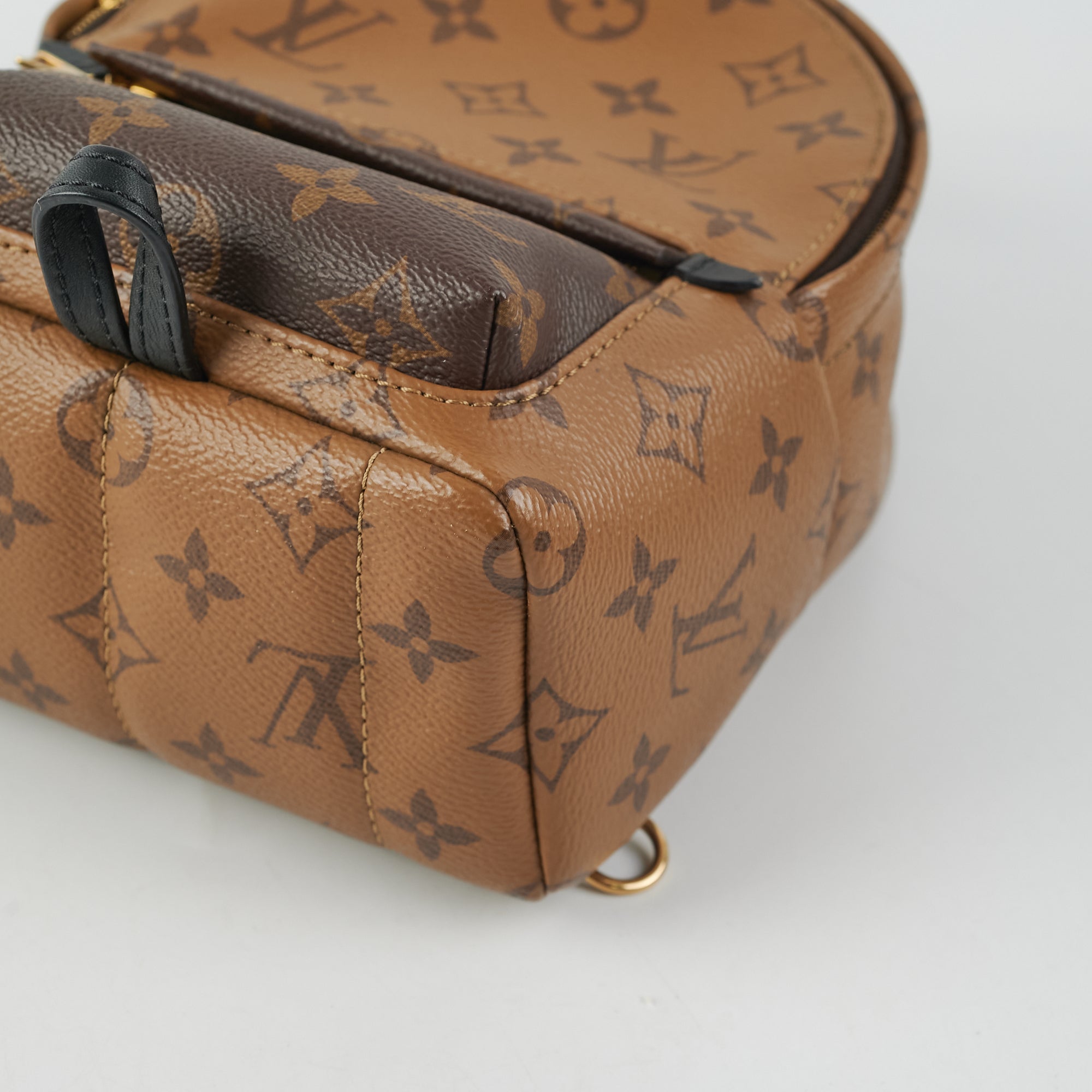 Louis Vuitton Palm Springs Mini Reverse Monogram Backpack Bag