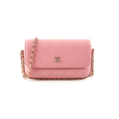 Chanel Seasonal Flap Pink Microchip