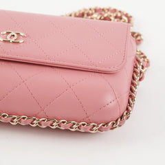 Chanel Seasonal Flap Pink Microchip