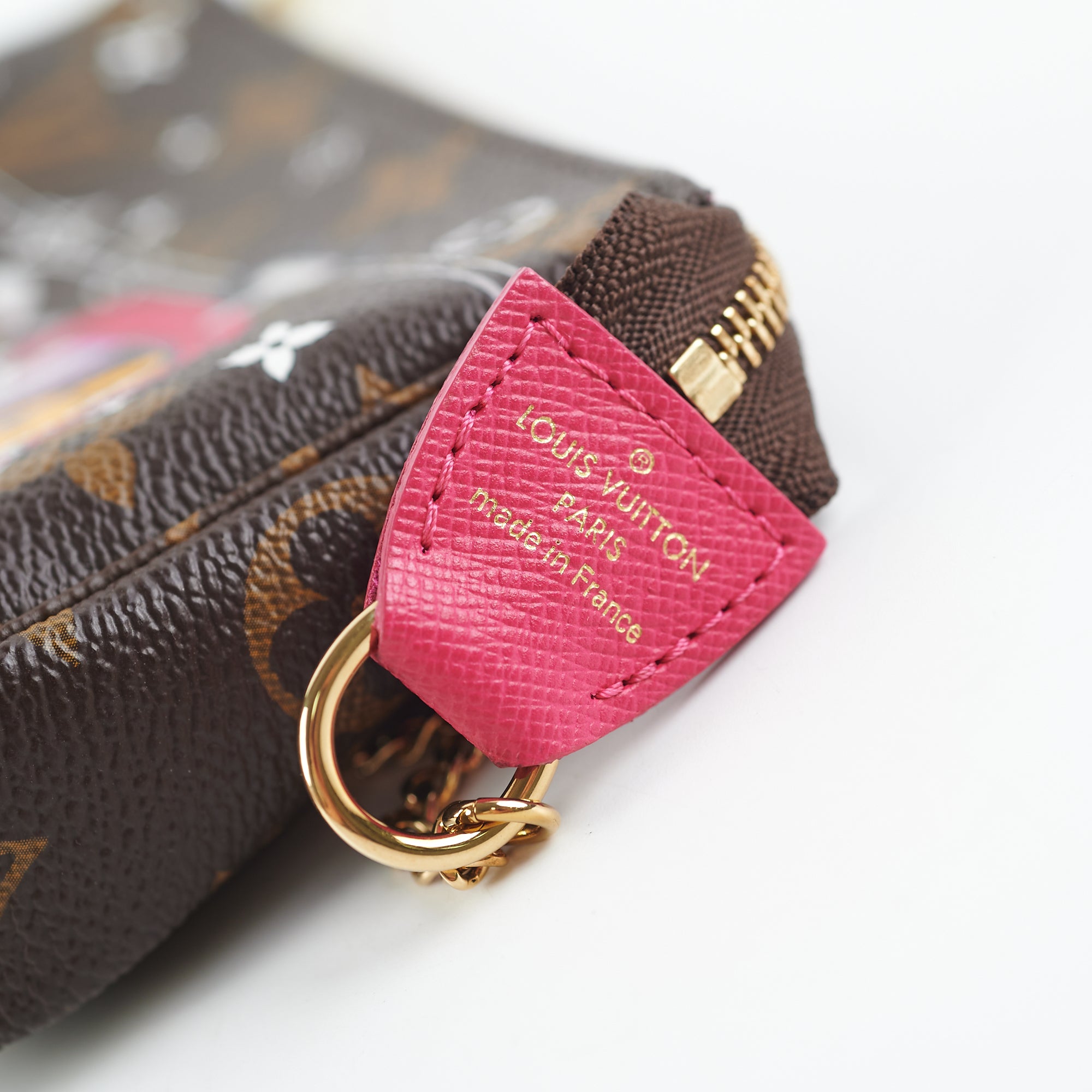 Louis Vuitton Pochette Accessoires Limited Edition Vivienne Xmas Monogram  Canvas Mini - ShopStyle Clutches