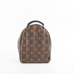 Louis Vuitton Palm Spring Mini Monogram