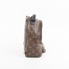 Louis Vuitton Palm Spring Mini Monogram