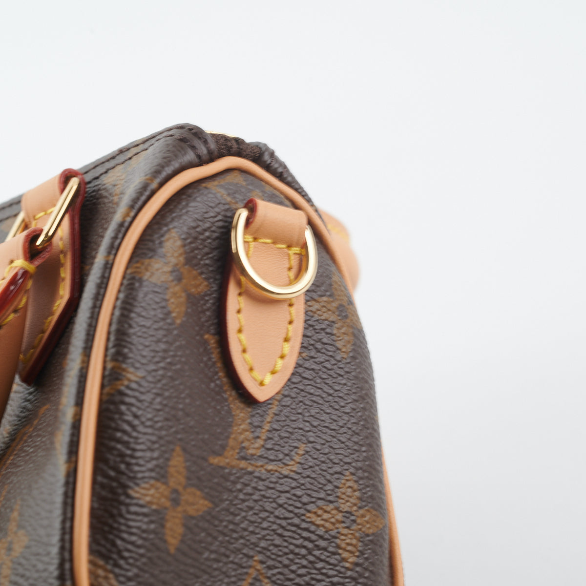 Louis Vuitton Brown Monogram Nano Speedy Bag – The Closet